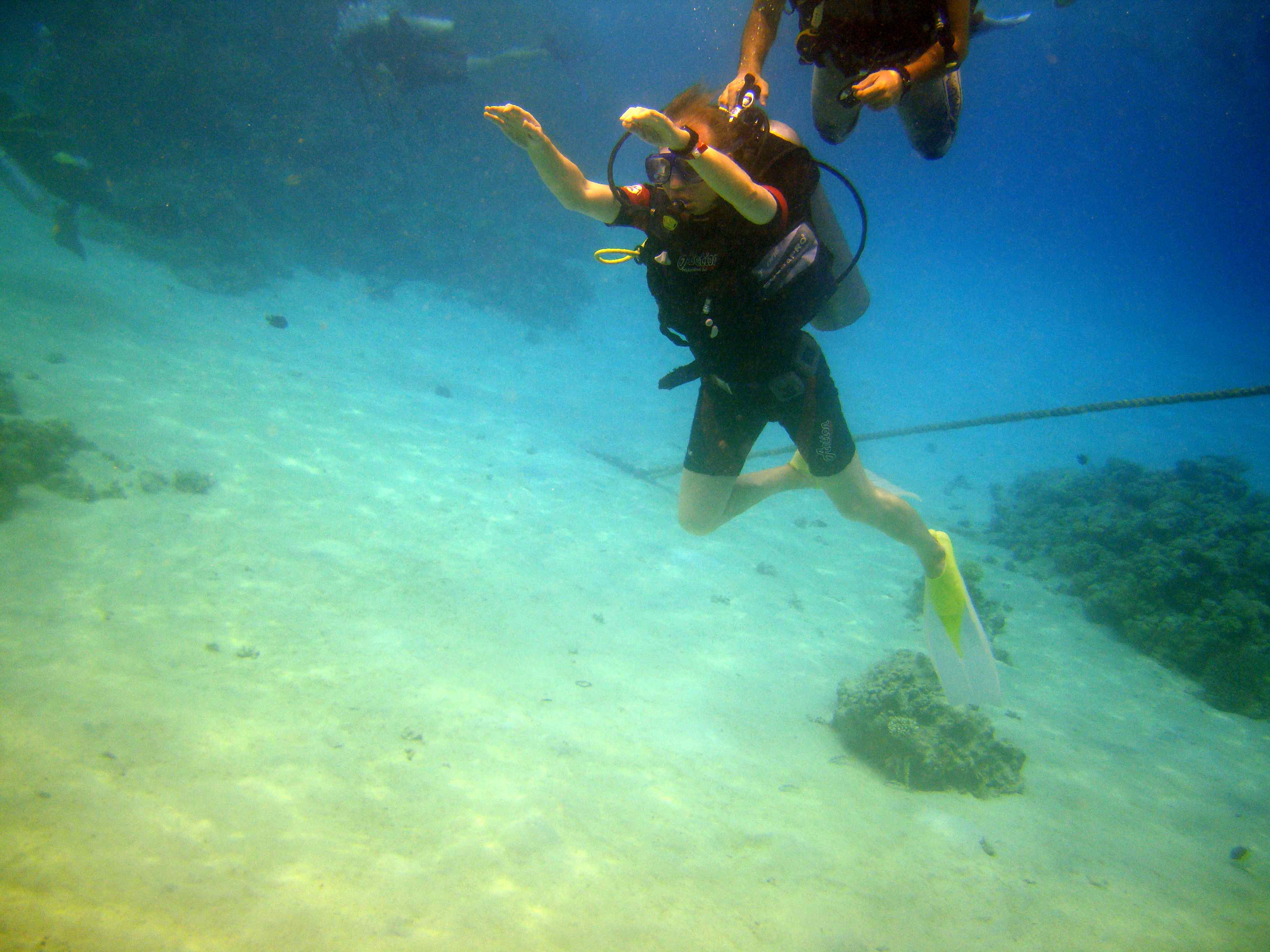 Дайвинг у коралловых рифов