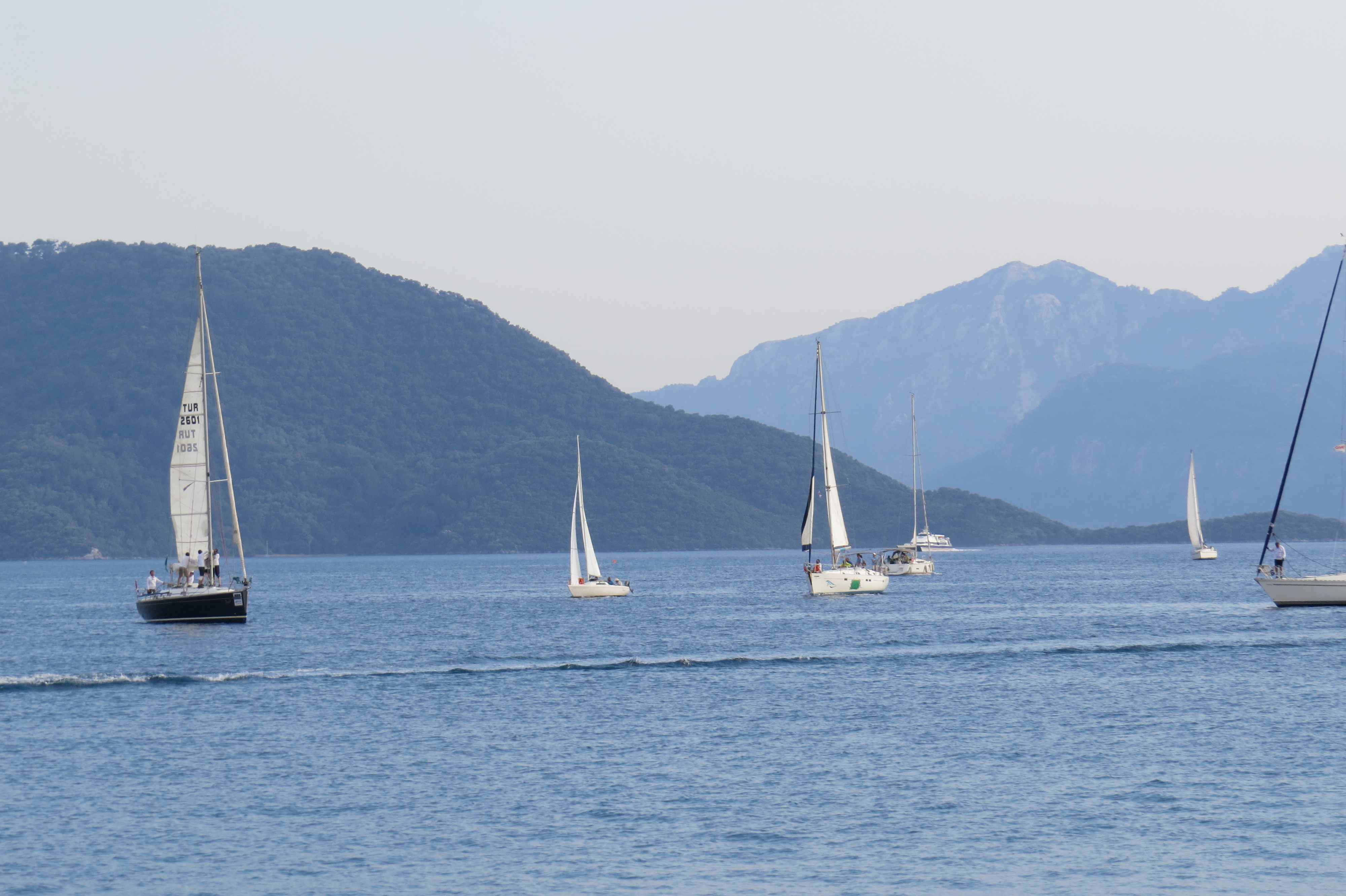 Гранаты, инжир и голубые крабы