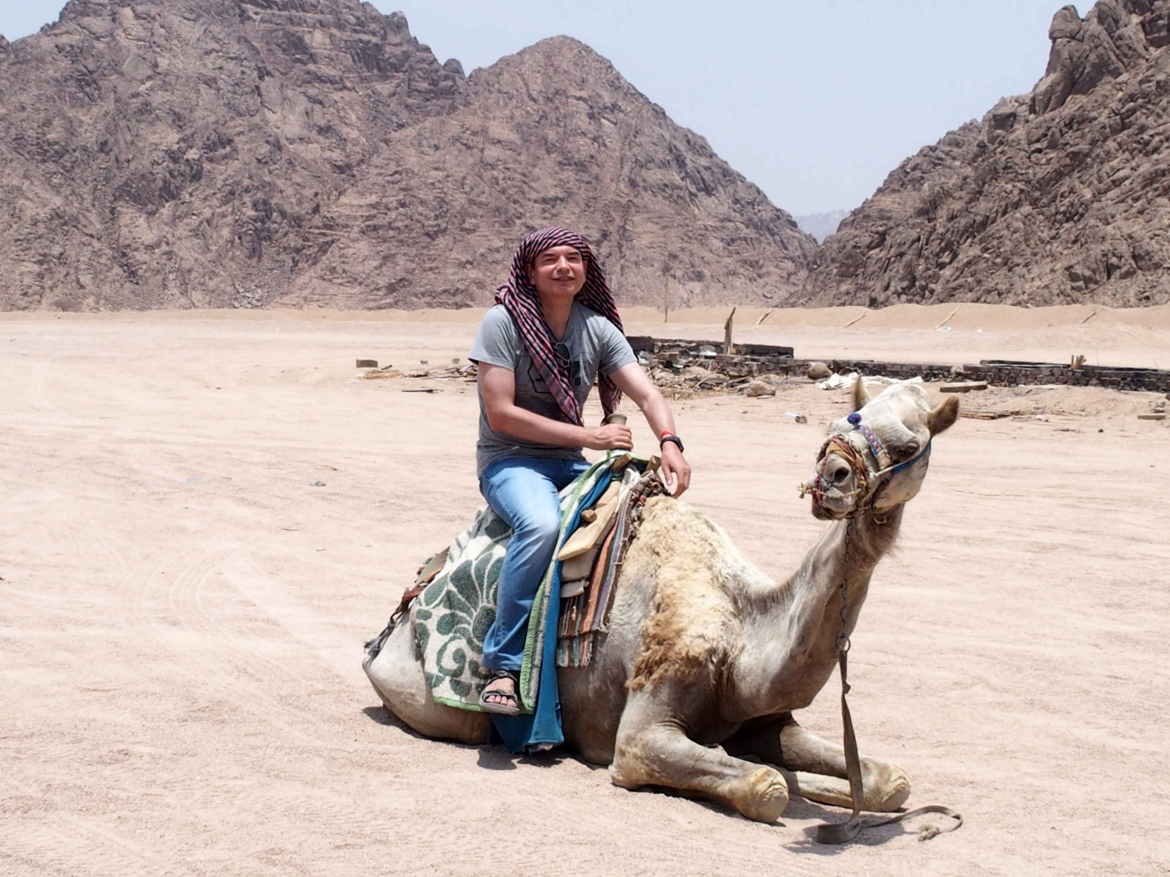 В гости к бедуинам